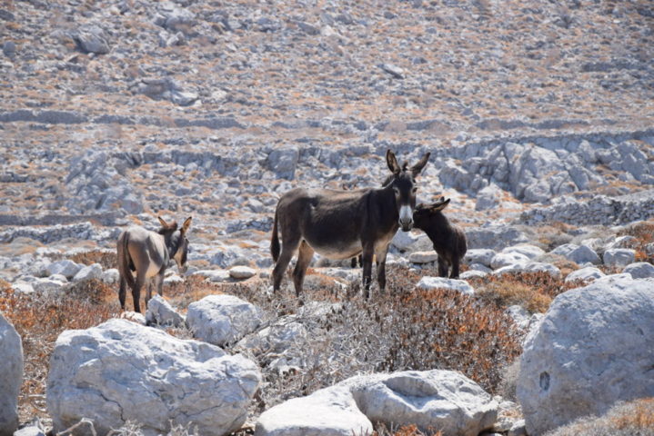 blog karpathos Vroukounda 